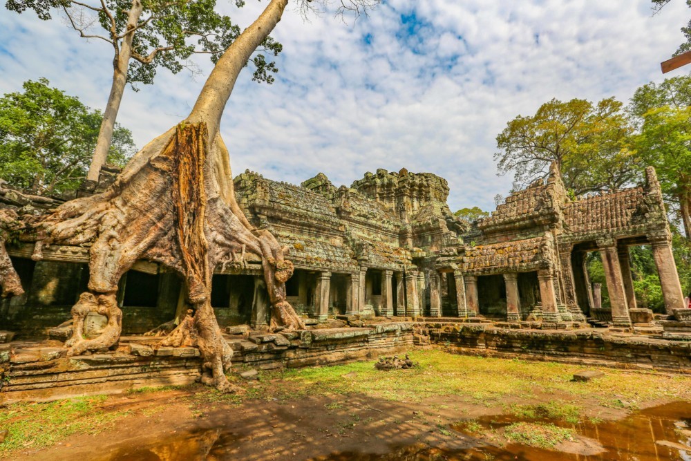 Preah Khan ♦ - The Intrepid Life