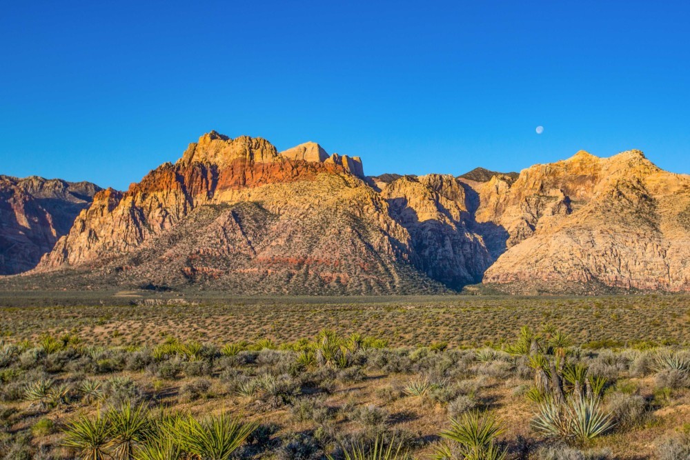 Red Rock Canyon Scenic Drive - The Intrepid Life