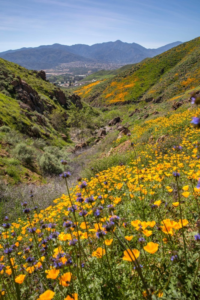 Walker Canyon - The Intrepid Life