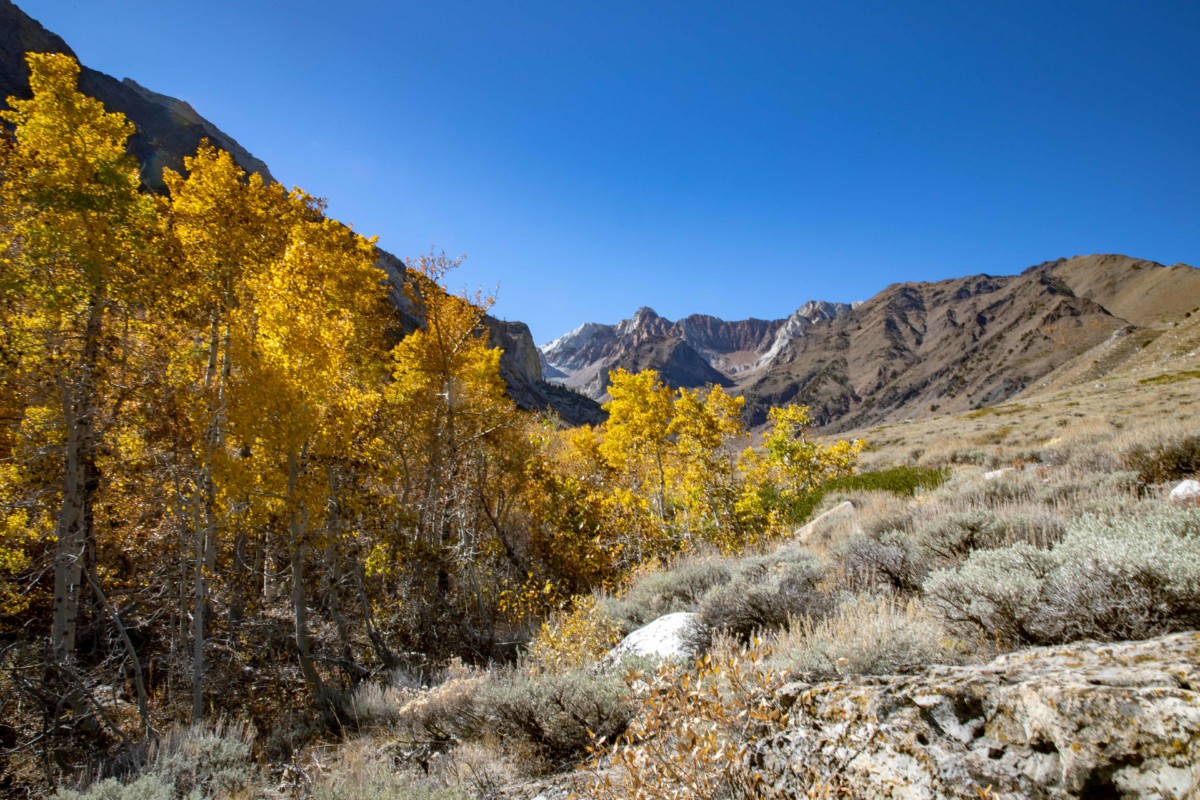 McGee Pass Trail - The Intrepid Life