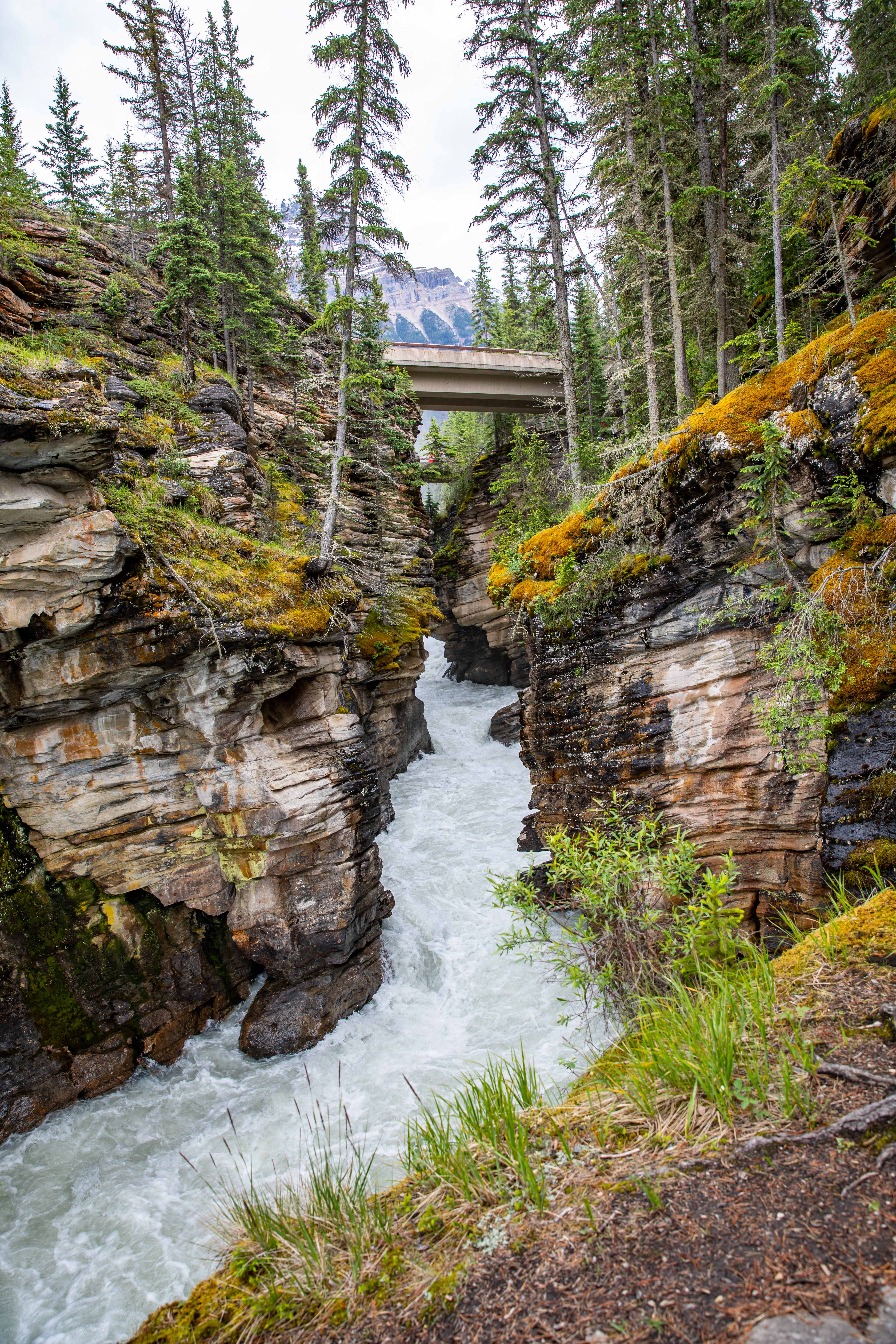 Athabasca Falls - The Intrepid Life