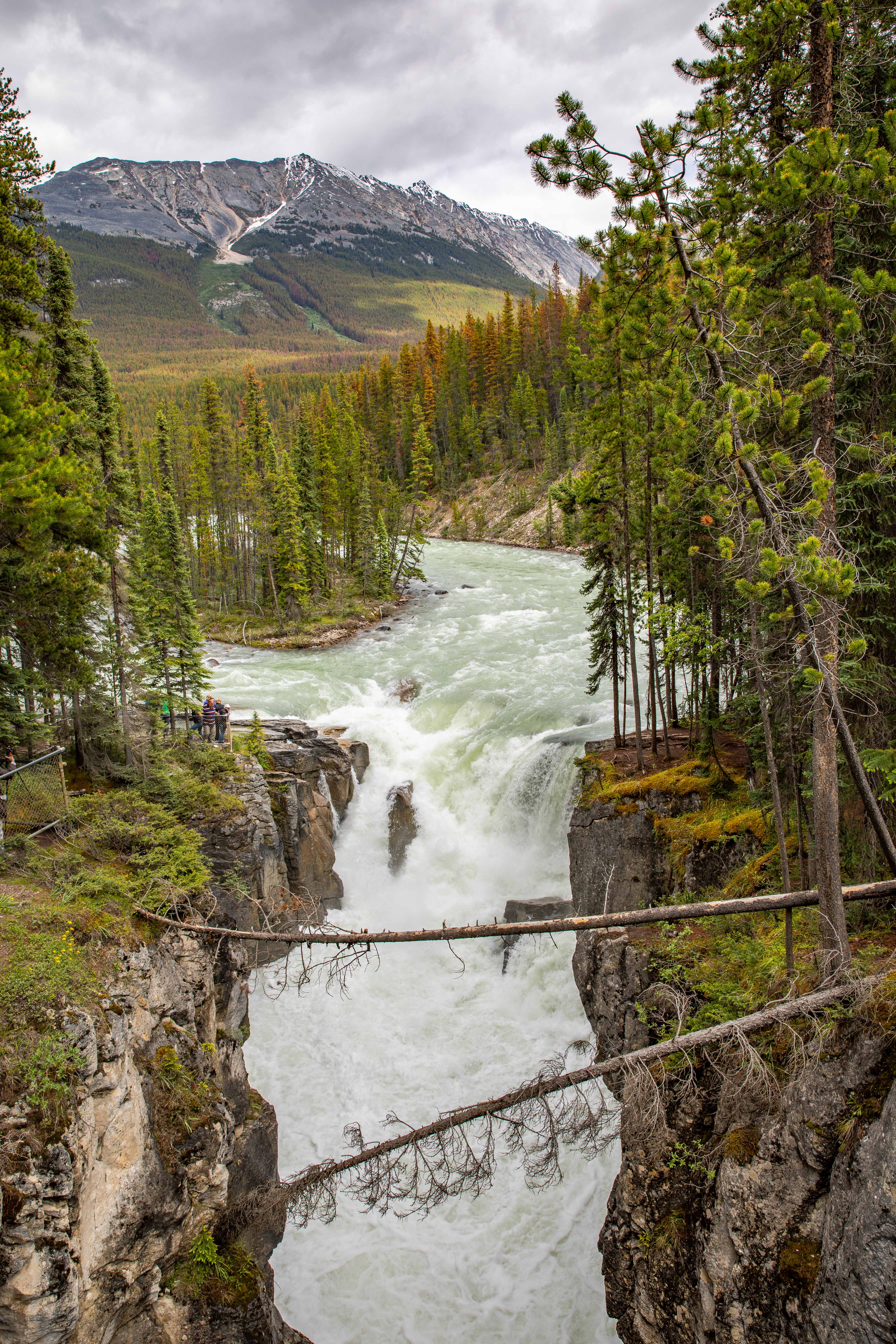 Sunwapta Falls - The Intrepid Life